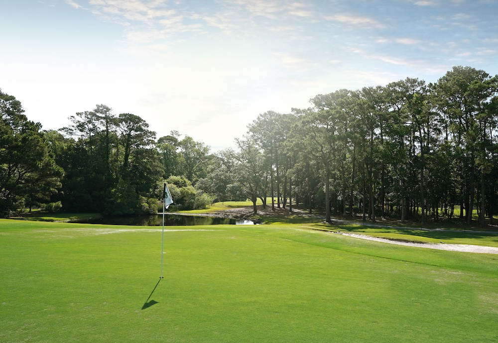 A well-maintained putting green with trees and a pond in the background