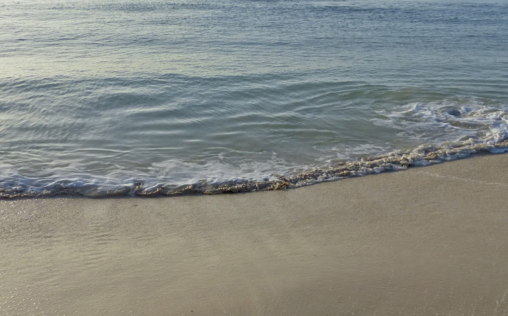 the shore of Oak Island