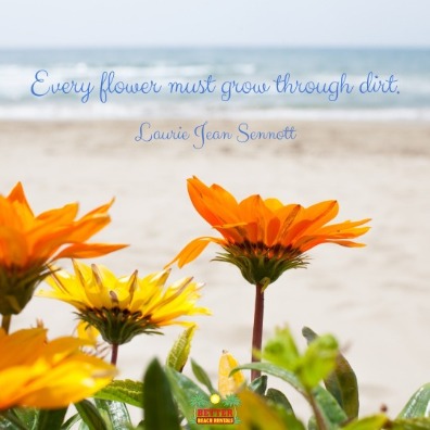 Beach Quote | Better Beach Rentals 