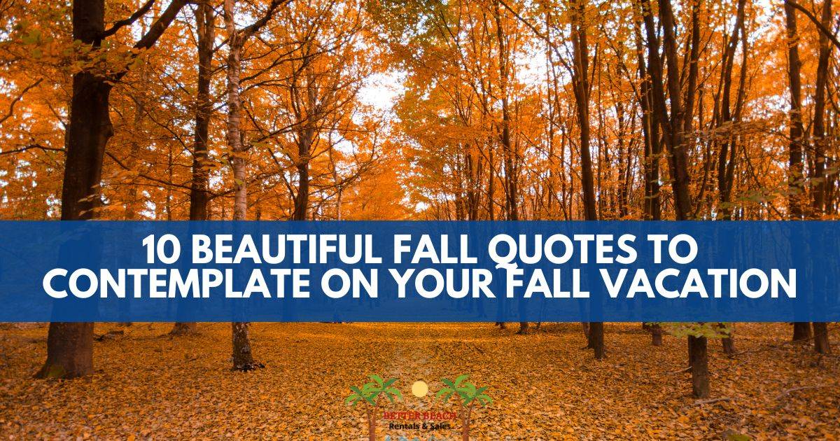 10 Beautiful Fall Quotes to Contemplate on Your Fall Vacation Better Beach