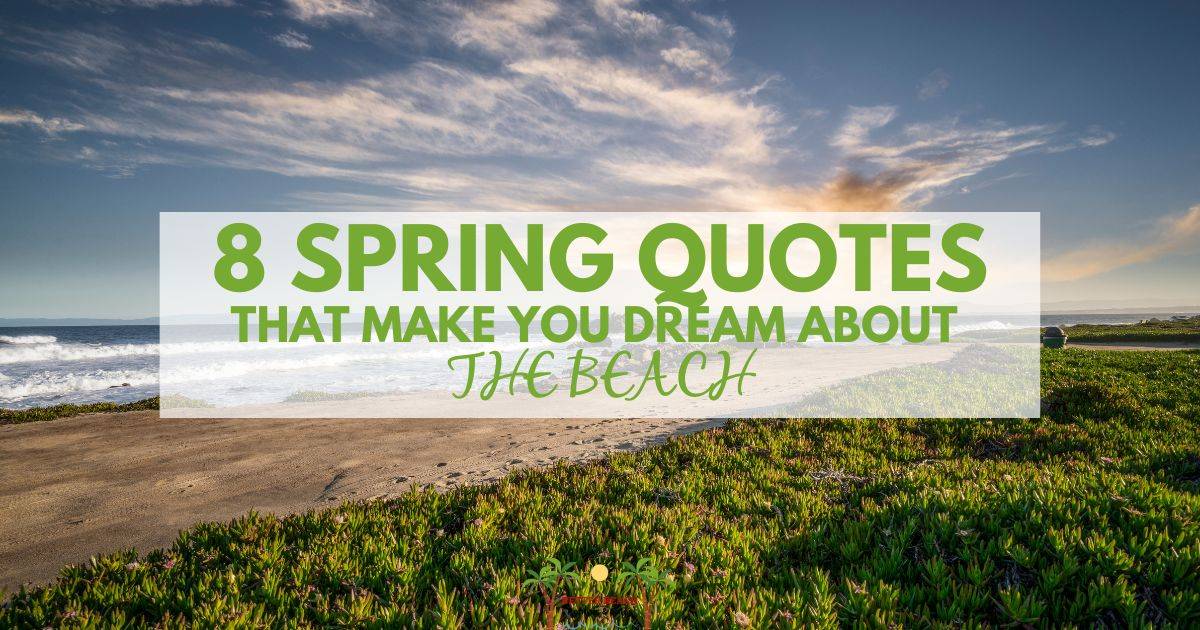 8 Spring Quotes That Make You Dream About the Beach Better Beach