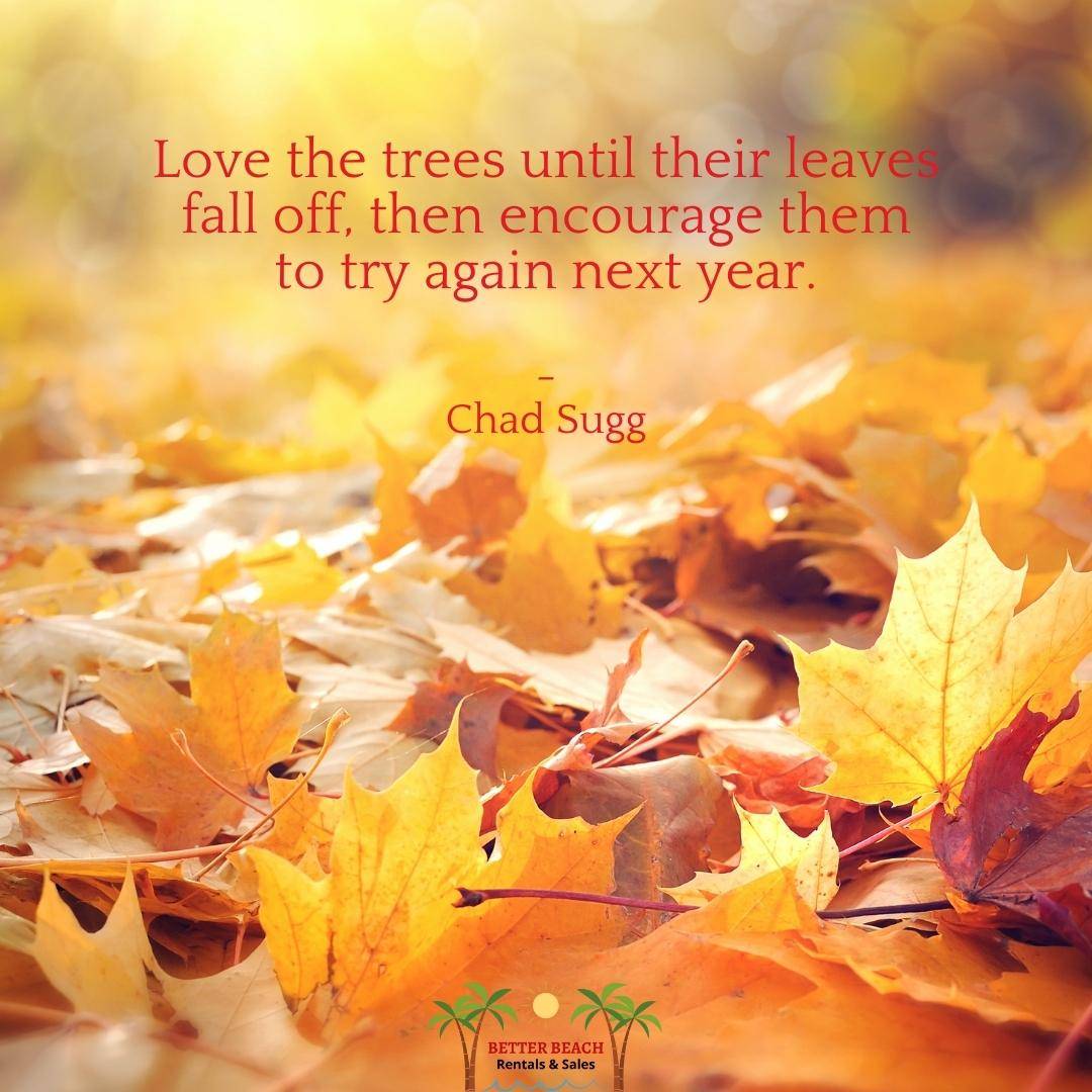 7 Marvelous Fall Quotes for This Wonderful Season | Better Beach ...