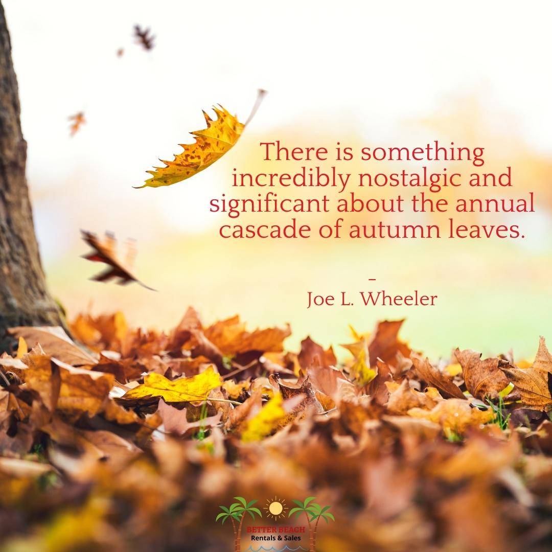 7 Marvelous Fall Quotes for This Wonderful Season | Better Beach ...
