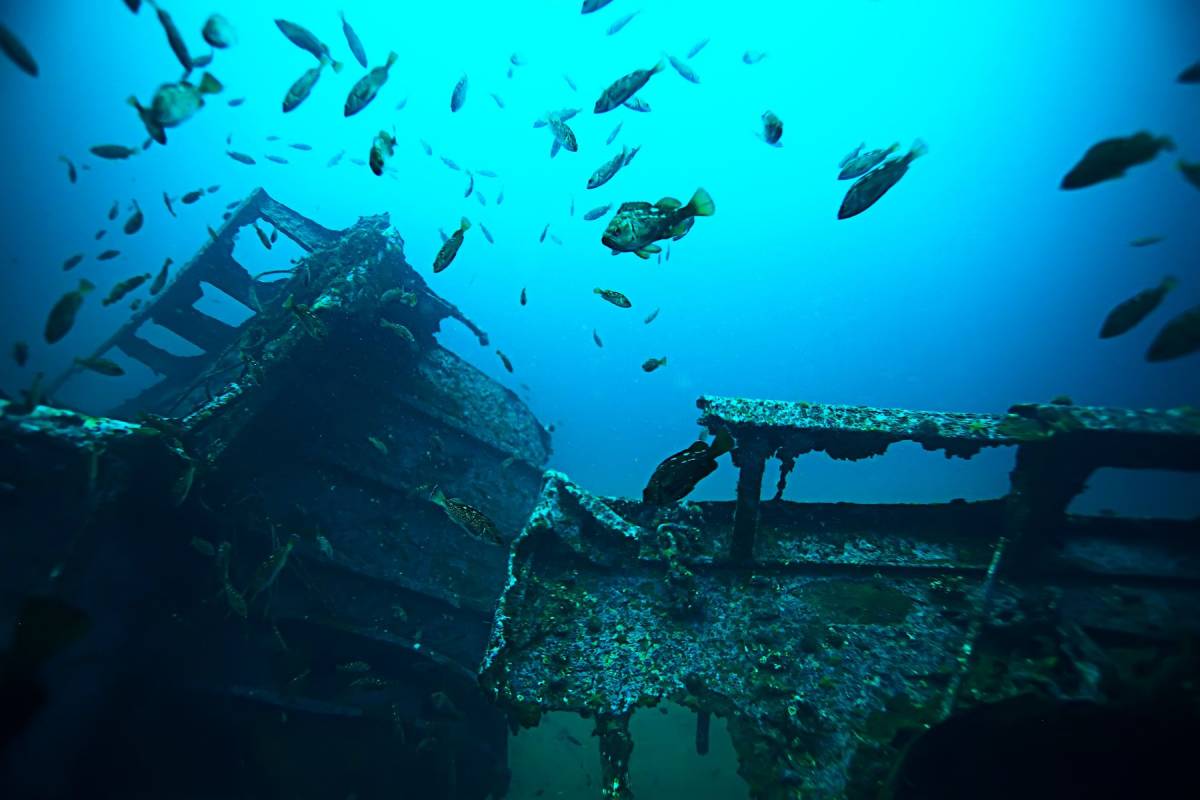 Scuba Diving in Oak Island, NC Better Beach Rentals