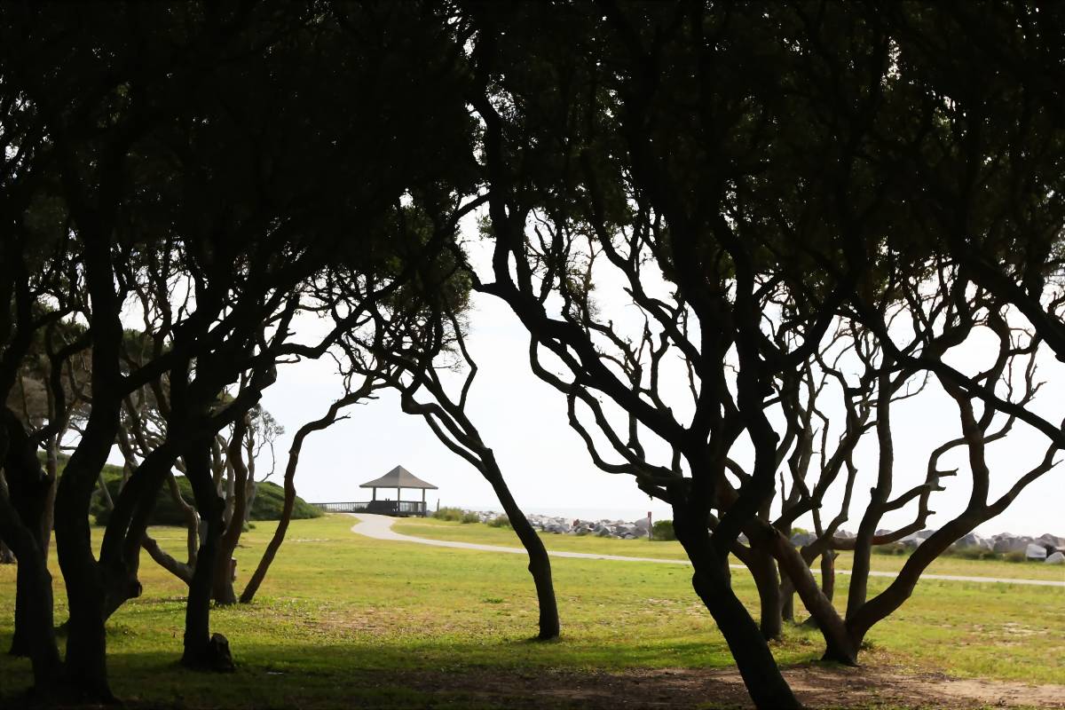 Fort Fisher 10 Fun Places to Visit