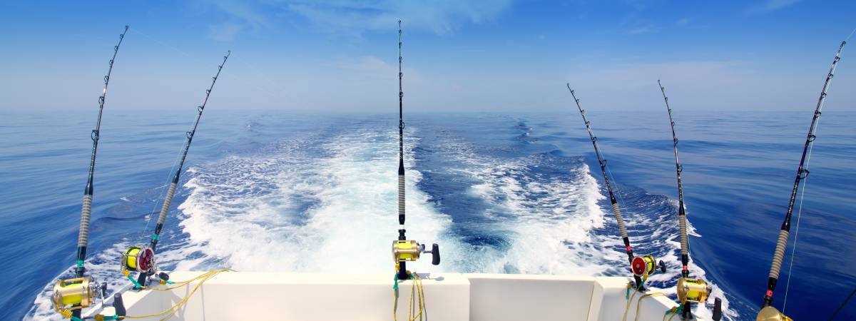 charters in oak island