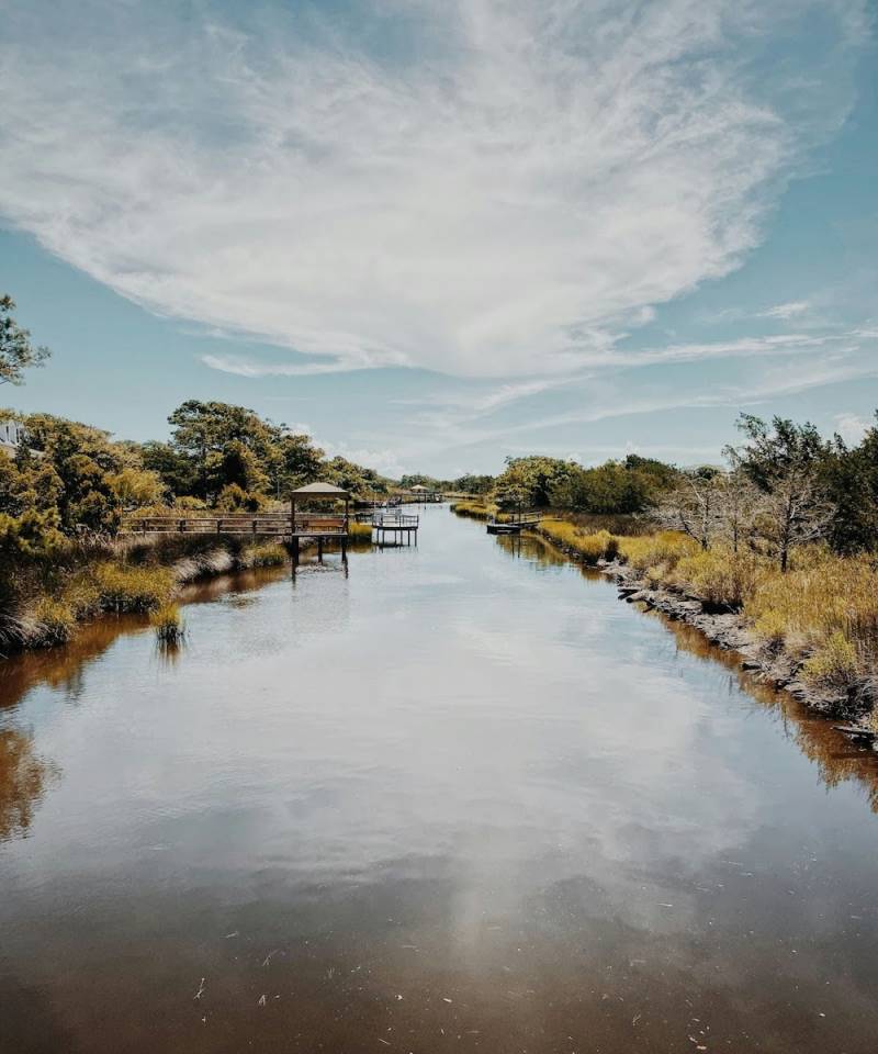 oak island marsh