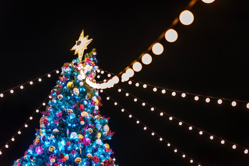 Closeup of an illuminated Christmas tree in a community park