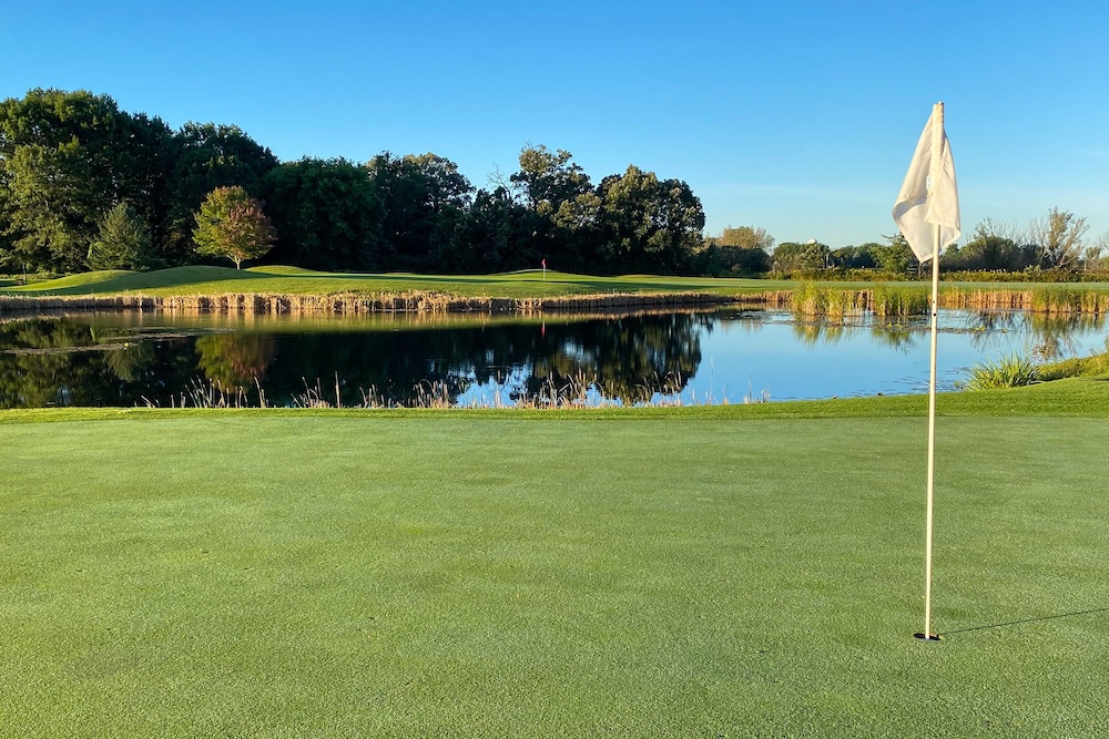 A putting green alongside a marsh pond