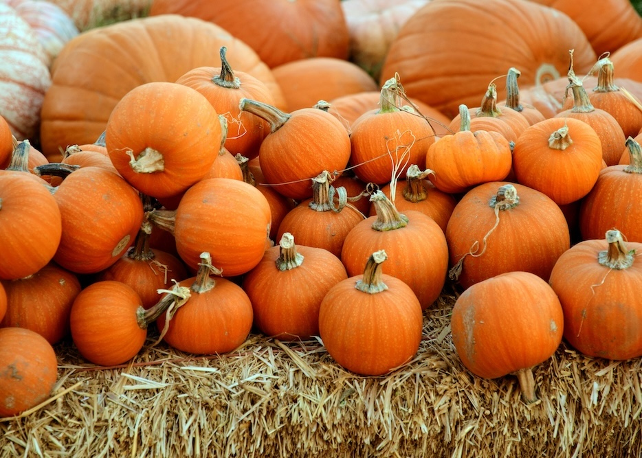 Pile of pumpkins on bale of hay