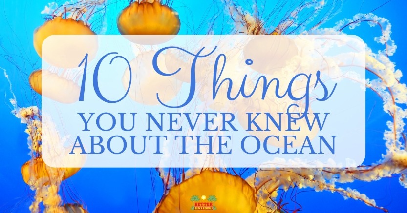 10 Things You Never Knew About the Ocean