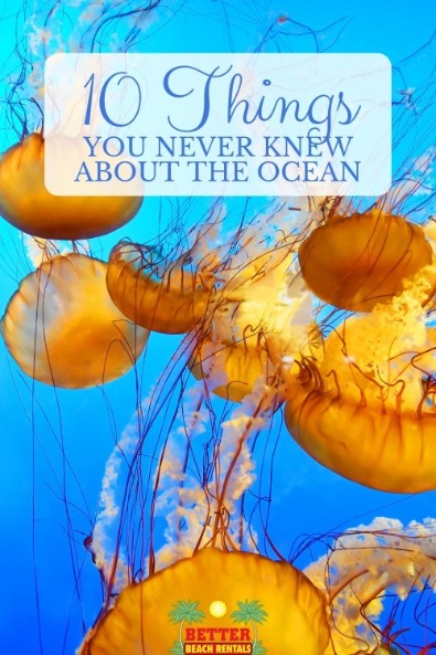 10 Things You Never Knew About the Ocean